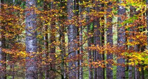 dc7_0022-modifica-min.jpeg dc7_0022-modifica-min.jpeg