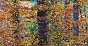 _dme9614-modifica-min.jpeg _dme9614-modifica-min.jpeg