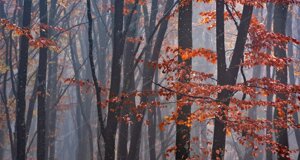 dc0_8944 copia.jpeg dc0_8944 copia.jpeg