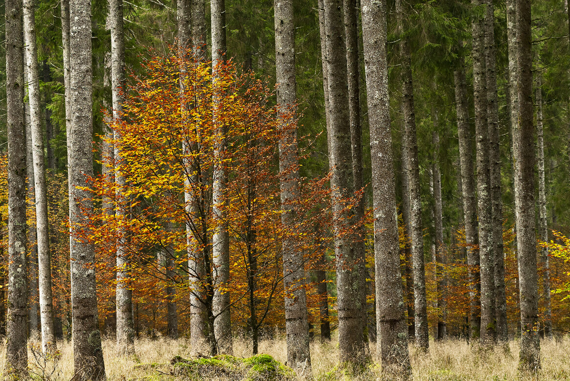 dc0_8944 copia.jpeg dc0_8944 copia.jpeg