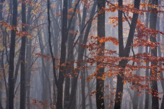 dcf_1214-modifica copia.jpeg