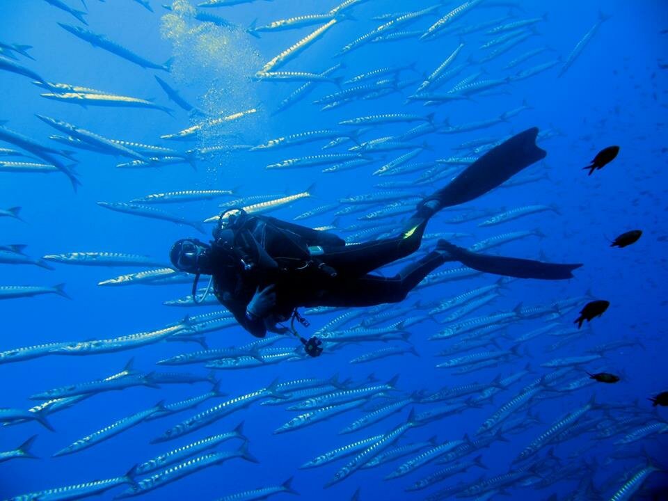 Snorkeling Sicilia? Catania la tua Meta? Scopri l'offerta di Scuba Diving School