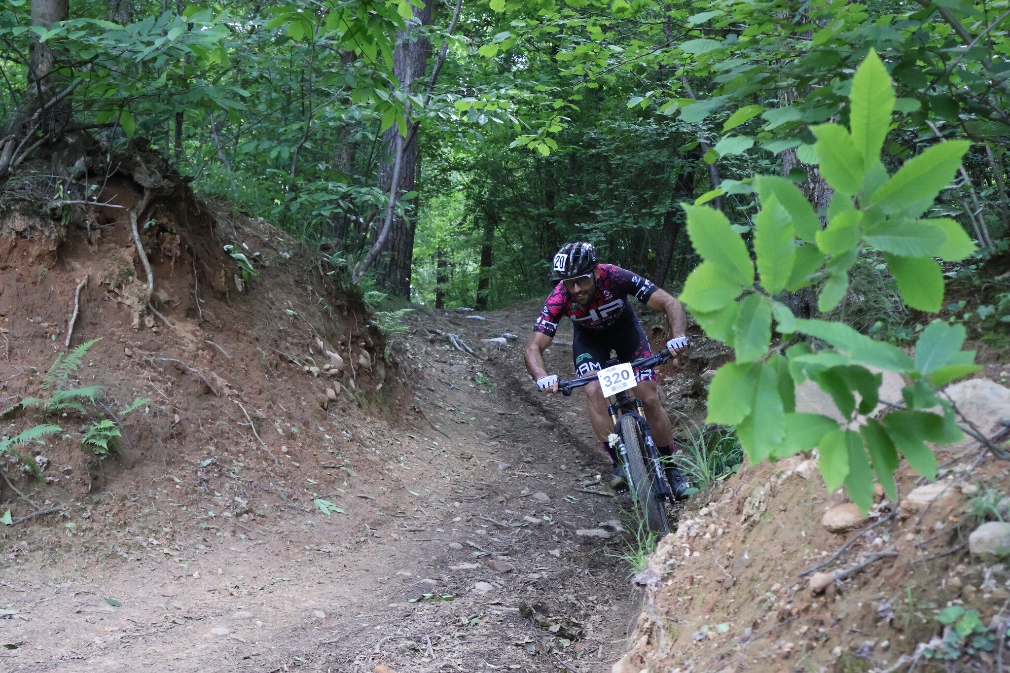 702570240_1441701461090882_7266344121093926406_n.jpeg
