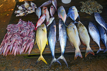 d66ee743c647d644a9aa75c4e7c8abf10f298357