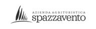 logo spazzavento