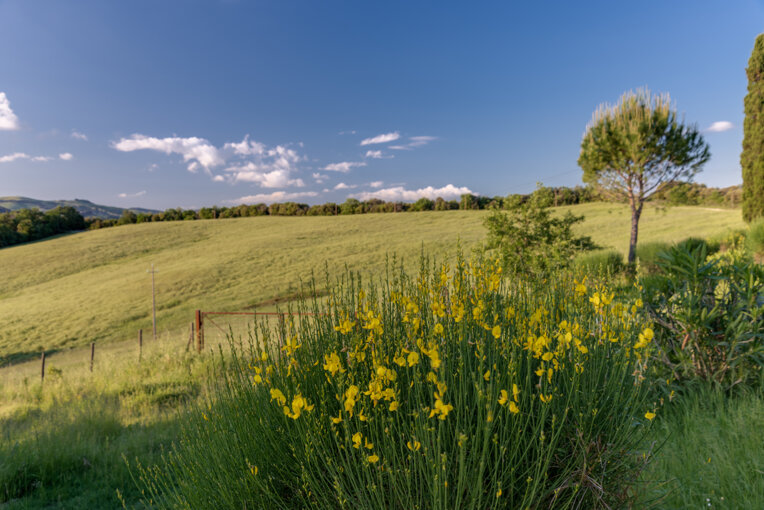 Villanovia - Contacts