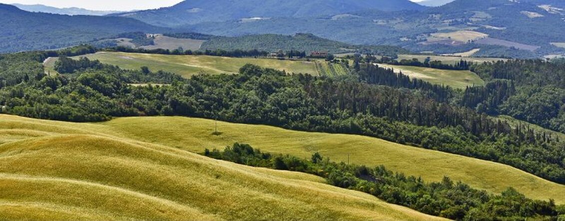 Exclusive Rental Tuscany Country House, excursions in the nature