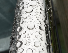 31c1c3_2dafe5263bfd4e8ea6bed517420096a0~mv2