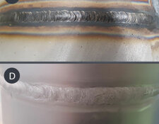 31c1c3_8696c4fa98ee42b29b130e51a16f21f3~mv2