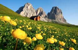 36a2ae759c18623d35fe0cbea20e18d69811e358