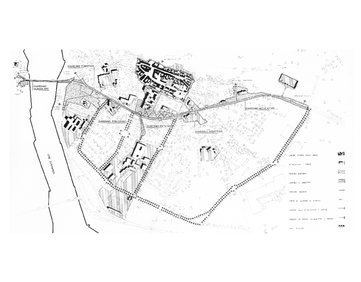 tolm 1