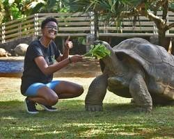 Incontri Ravvicinati con le Testuggini delle Seychelles: Un Viaggio nel Tempo a Lignano