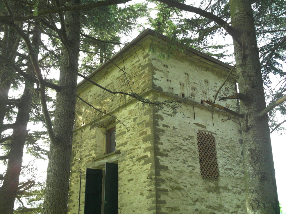 imgi_6_image