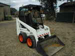 bobcat-453