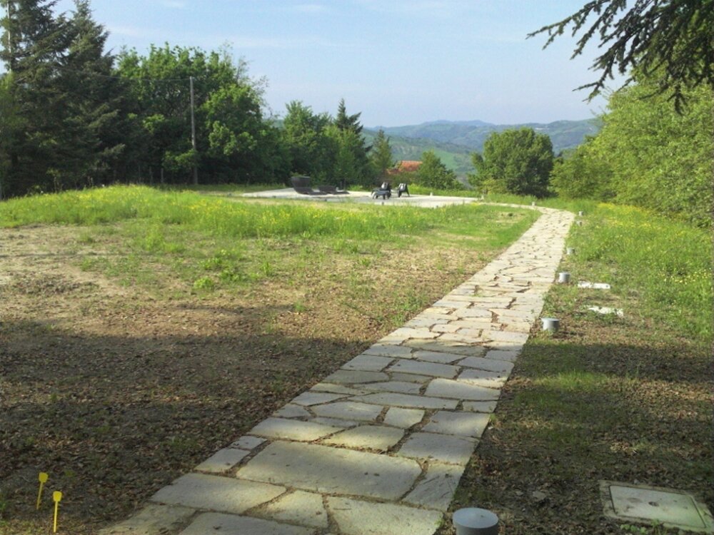 image (50).jpeg