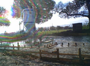 image%20(78).jpeg