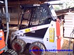 bobcat-453