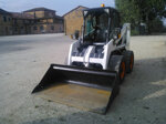 bobcat-863