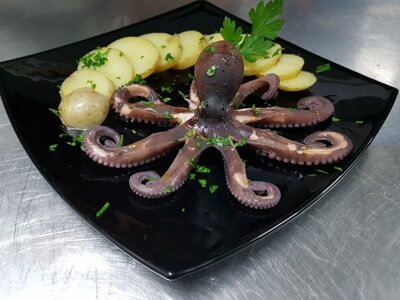 favignanapolpoacialoma.jpeg favignanapolpoacialoma.jpeg