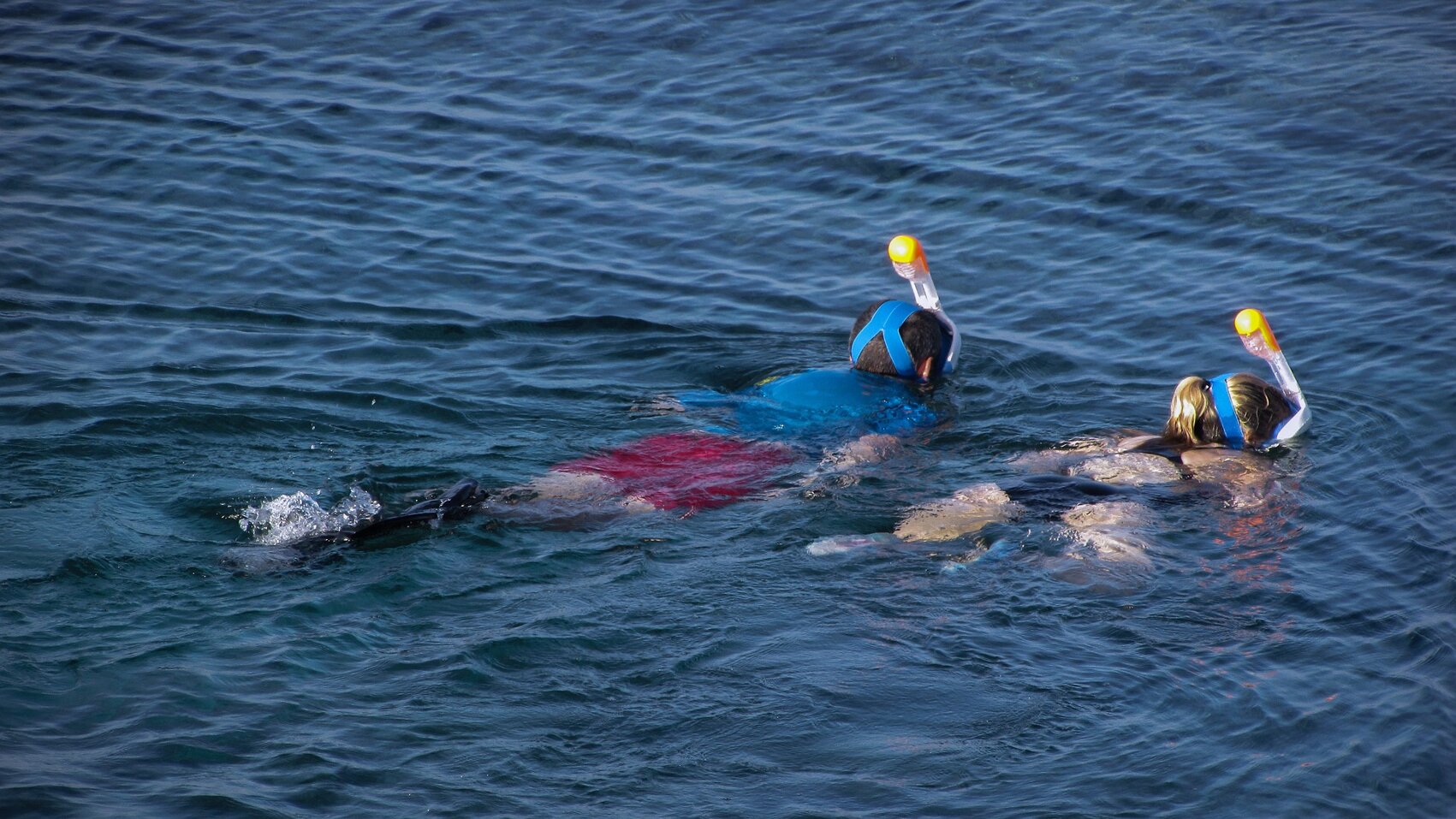 snorkeling-17298191920