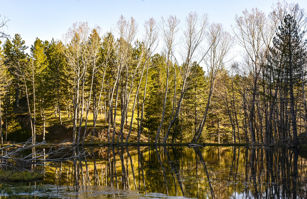 laghetto-di-lenzano-il-barattolo-ecotronei_02.jpeg laghetto-di-lenzano-il-barattolo-ecotronei_02.jpeg
