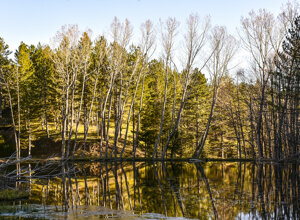 laghetto-di-lenzano-il-barattolo-ecotronei_12.jpeg laghetto-di-lenzano-il-barattolo-ecotronei_12.jpeg