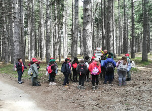 casa-pasquale-il-barattolo-ecotronei_08.jpeg casa-pasquale-il-barattolo-ecotronei_08.jpeg