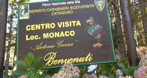 centro-visite-monaco5.jpeg