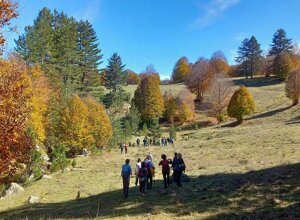 Valle del fiume Soleo.