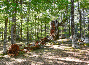 casa-pasquale-il-barattolo-ecotronei_05.jpeg casa-pasquale-il-barattolo-ecotronei_05.jpeg