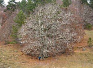 Valle del fiume Pisarello.