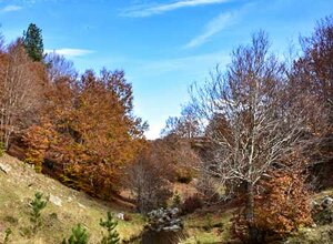 Valle del fiume Soleo.