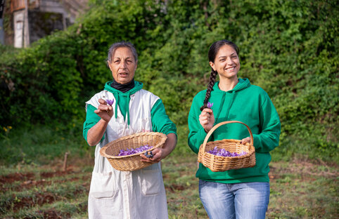 Lo zafferano di Pallone