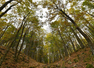 casa-pasquale-il-barattolo-ecotronei_06.jpeg casa-pasquale-il-barattolo-ecotronei_06.jpeg