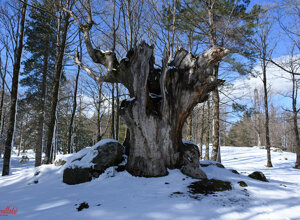 casa-pasquale-il-barattolo-ecotronei_04.jpeg casa-pasquale-il-barattolo-ecotronei_04.jpeg