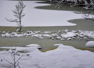 laghetto-di-lenzano-il-barattolo-ecotronei_04.jpeg laghetto-di-lenzano-il-barattolo-ecotronei_04.jpeg