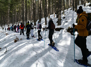 laghetto-di-lenzano-il-barattolo-ecotronei_11.jpeg laghetto-di-lenzano-il-barattolo-ecotronei_11.jpeg