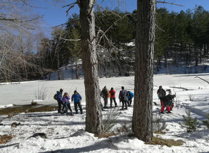laghetto-di-lenzano-il-barattolo-ecotronei_10.jpeg laghetto-di-lenzano-il-barattolo-ecotronei_10.jpeg