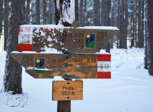 casa-pasquale-il-barattolo-ecotronei_03.jpeg casa-pasquale-il-barattolo-ecotronei_03.jpeg