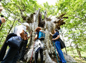 casa-pasquale-il-barattolo-ecotronei_03.jpeg casa-pasquale-il-barattolo-ecotronei_03.jpeg