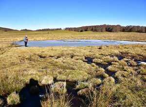 Sorgente del fiume Soleo