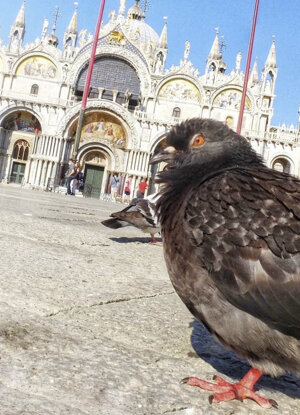 mostra_0015.jpeg
