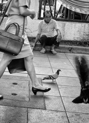dsc_4414.jpeg