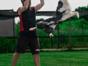 _z8a0596%20copia%20(1).jpeg