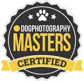 dog-photography-masters-certified-640