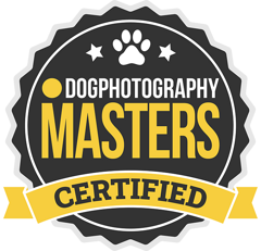 dog-photography-masters-certified-640
