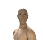 manichino-uomo-realistico-darrol