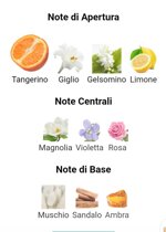 lily-tangerine-edp-vapo-50ml-label-perfumes