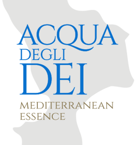 ae531b255f58db3dd8b2f2e67cc5174fcc3e29b8