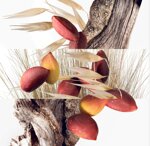 herms-un-jardin-a-cythre